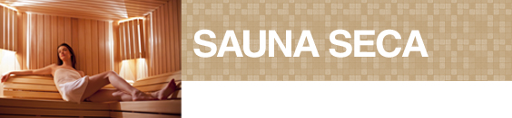Forno Elétrico para Sauna Seca
